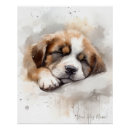Suche nach saint bernard poster Welpen