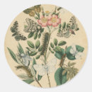 Suche nach vision aufkleber Tiere