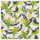 Suche nach budgie Australien