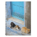 Suche nach marokko kleine notizbücher Chefchaouen