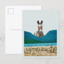 Suche nach wildpferde postkarten Tiere