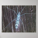 Suche nach beleuchtetes poster Fotografie