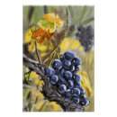 Suche nach provence poster Urlaub