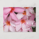 Suche nach mahalo karten Danken
