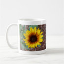 Suche nach annuus Helianthus annuus