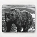 Suche nach braunbär mousepads Alaska