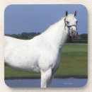 Suche nach appaloosa untersetzer Foto