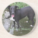 Suche nach gedächtnis untersetzer Jede person