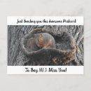 Suche nach niedliches eichhörnchen postkarten Urlaub