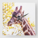 Suche nach gefährdet wanduhren Natur