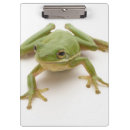 Suche nach frosch klemmbrett Grün