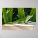 Suche nach lizard poster Eidechse