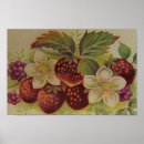 Suche nach niedliche erdbeeren poster Vintag