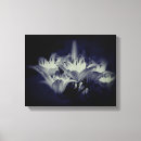 Suche nach weiße lilie leinwandbilder Blume