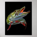 Suche nach fly fishing poster Vintag