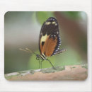 Suche nach makro mousepads Natur