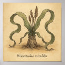 Suche nach naturwissenschaft poster Pflanze