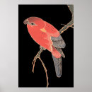 Suche nach rote vögel poster Naturkunst