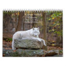 Suche nach wölfe kalender Hunde