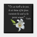 Suche nach buddha magnete Fotografie