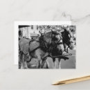 Suche nach arbeitspferd postkarten Pferde