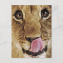 Suche nach nahaufnahme postkarten Vertikal