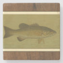 Suche nach bass untersetzer Fluss