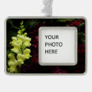 Suche nach bunte blumen ornamente Jede person