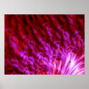Suche nach schöne farben poster Rosa