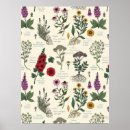 Suche nach herbarium poster Vintage