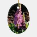 Suche nach lupinen ornamente Blumen