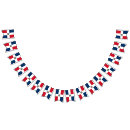 Suche nach república dominicana Flagge der dominikanischen republik