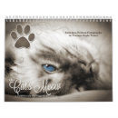 Suche nach meow kalender Haustiere