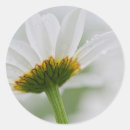Suche nach anon aufkleber Blume