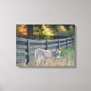 Suche nach maultier leinwandbilder Esel