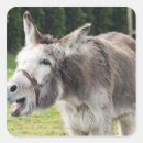 Suche nach esel aufkleber Ranch