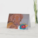 Suche nach vizsla hunde karten Ungarisch