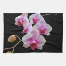 Suche nach motten geschirr tücher Natur