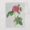Suche nach bänder postkarten Blume