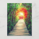 Suche nach mangrove postkarten Natur