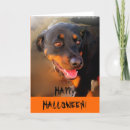 Suche nach alle halloween karten Glücklich