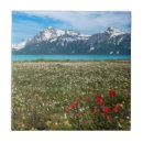 Suche nach nationalpark fliesen Landschaft