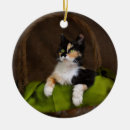 Suche nach korb von ornamente Katze