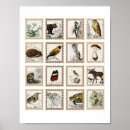 Suche nach junker poster Vintag