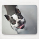 Suche nach lustige französische bulldogge mousepads Niedlich