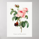Suche nach rosa schmetterling poster Pink