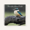Suche nach kookaburra Vogelvogel
