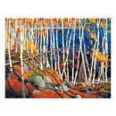Suche nach birkenbaum poster Wald