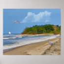 Suche nach seeschwalbe poster Vögel