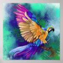 Suche nach parrot poster Aquarell